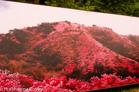 Goryosan Hike and Gangwha Market-1