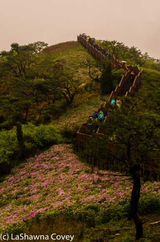 Goryosan Hike and Gangwha Market-4