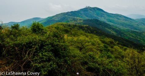 Goryosan Hike and Gangwha Market-6