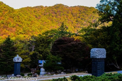 Haeinsa Temple-4