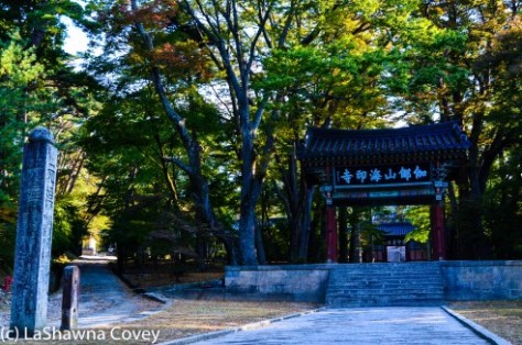 Haeinsa Temple-7