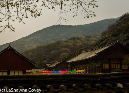 Seonunsa Temple-12