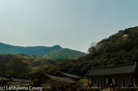 Seonunsa Temple-14