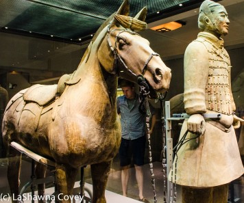 Terra Cotta Warrior cavalryman