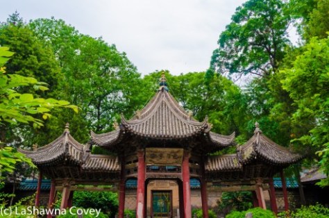 Xian Muslim Quarter-8
