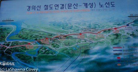 DMZ tour-8