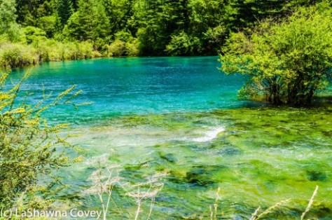 Jiuzhaigou Overview-13
