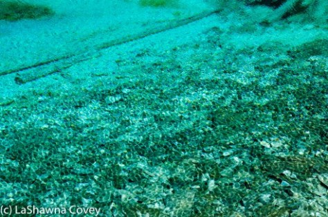 Jiuzhaigou Overview-8