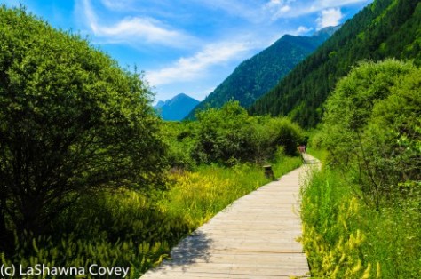 Jiuzhaigou Overview-9