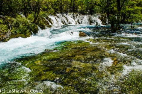 Jiuzhaigou Shu Zheng Valley-11