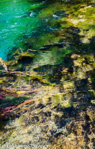 Jiuzhaigou Shu Zheng Valley-6