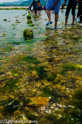 Muchangpo Sea Parting-15