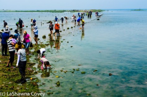 Muchangpo Sea Parting-16