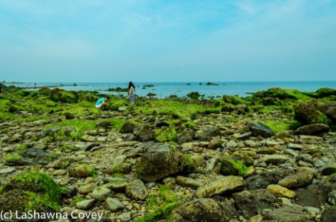 Muchangpo Sea Parting-6