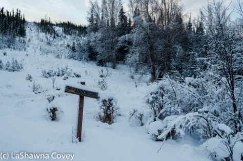 Fairbanks Chena Hot Spring 2015-26
