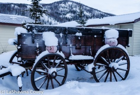 Fairbanks Chena Hot Spring 2015-29