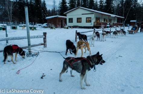 Fairbanks Chena Hot Spring 2015-32