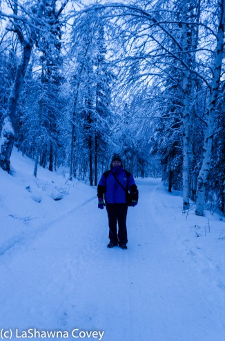 Fairbanks Chena Hot Spring 2015-34