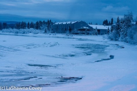 Fairbanks Chena Hot Spring 2015-4