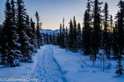 Fairbanks Chena Hot Spring 2015-42