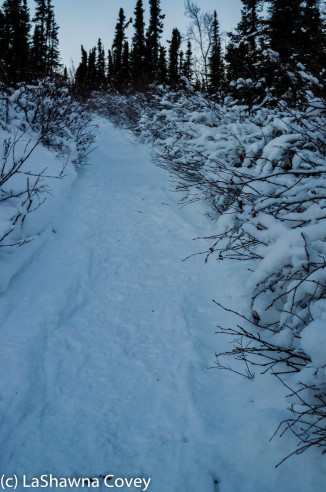 Fairbanks Chena Hot Spring 2015-44
