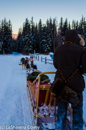 Fairbanks Chena Hot Spring 2015-46