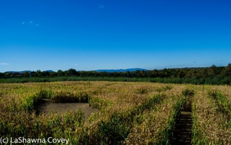 Hudson Valley hiking Halloween and Autumn-12