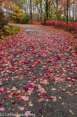 Hudson Valley hiking Old Minnewaska Trail-10