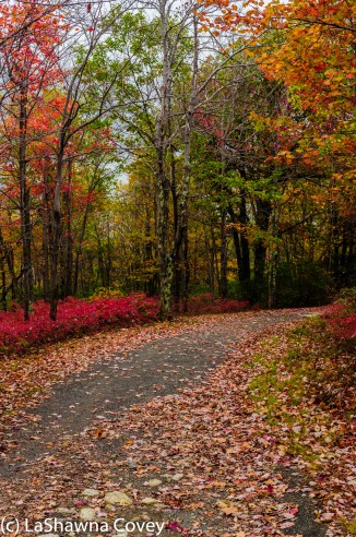 Hudson Valley hiking Old Minnewaska Trail-20