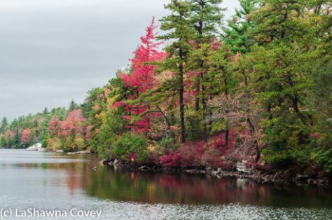 Hudson Valley hiking Old Minnewaska Trail-23