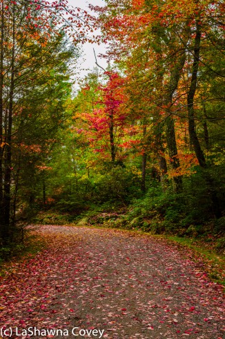Hudson Valley hiking Old Minnewaska Trail-3