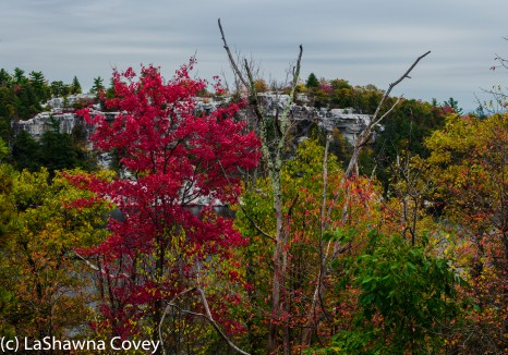 Hudson Valley hiking Old Minnewaska Trail-9