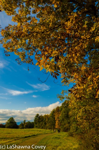 Hudson Valley hiking Poet's Walk-6