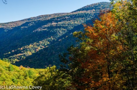 Hudson Valley leaf peeping-15