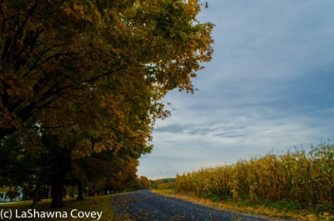 Hudson Valley leaf peeping-2