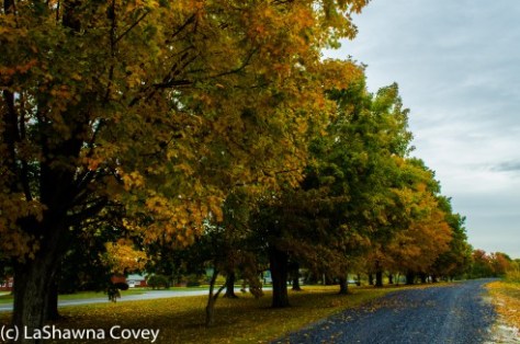 Hudson Valley leaf peeping-3