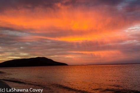 Nacula Island beaches-21