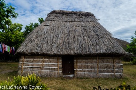 Nacula Island beaches-6