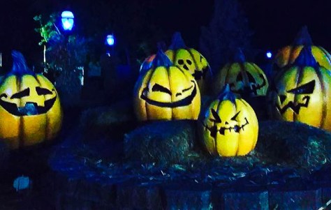 Missouri Halloween amusement parks-7