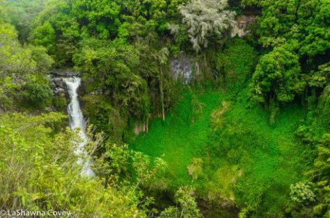 Haleakala National Park hiking-5