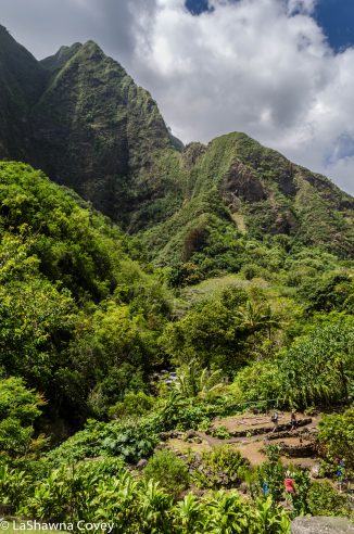 West Maui driving-18