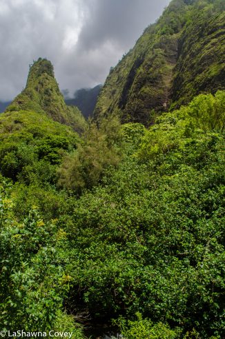 West Maui driving-19