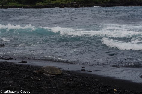 Big Island beaches-7