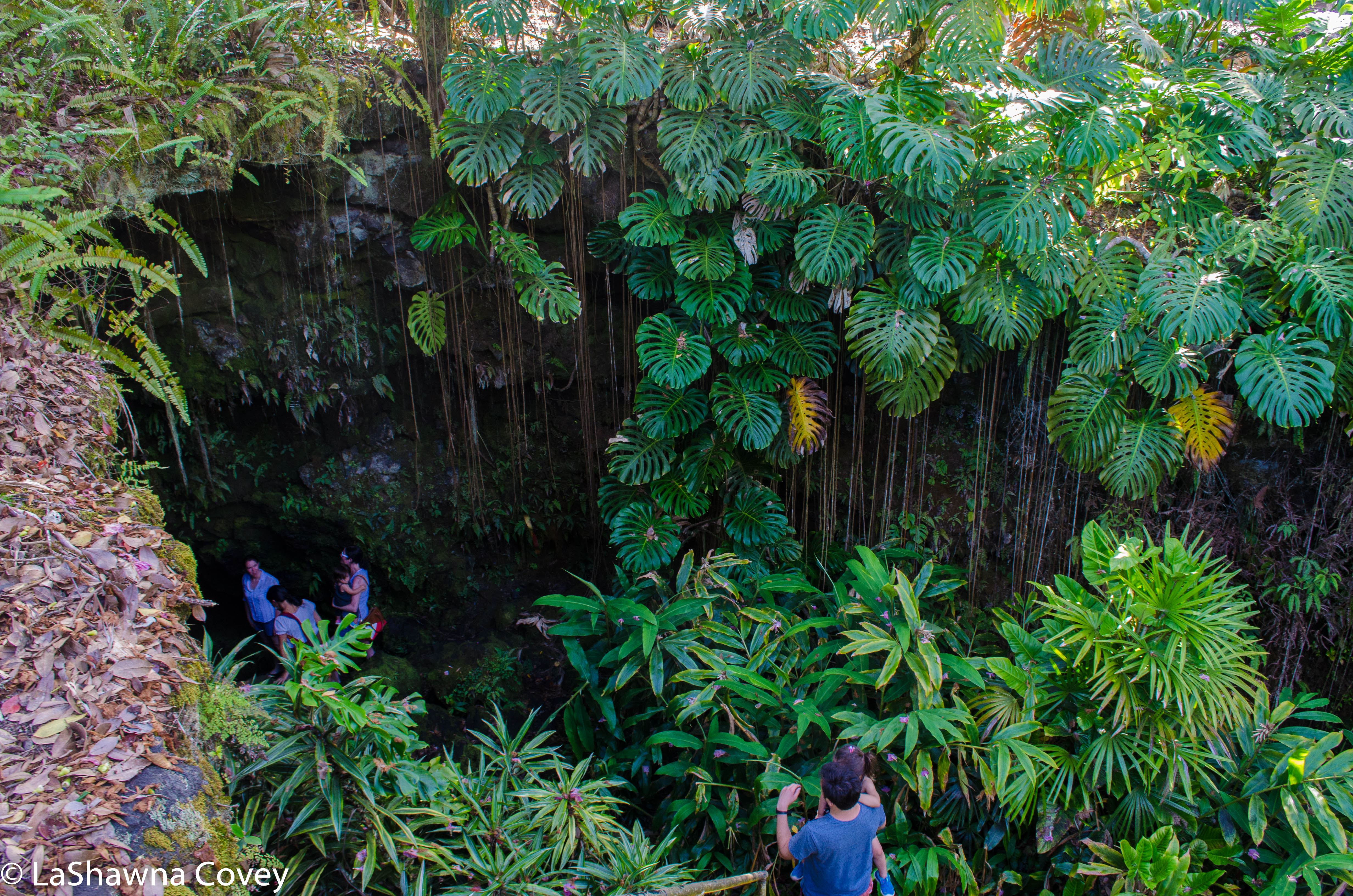 Big Island waterfalls and caves-6