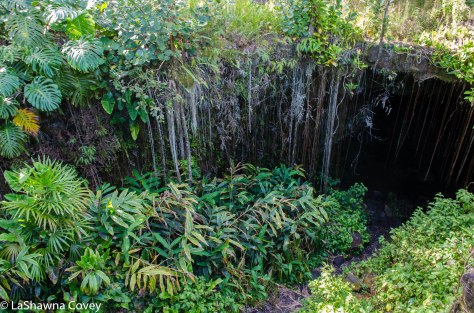 Big Island waterfalls and caves-7