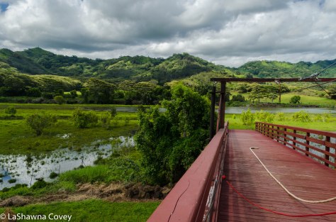 Hawaii zipline adventure-13
