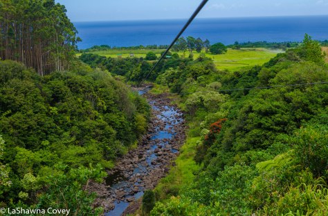Hawaii zipline adventure-2