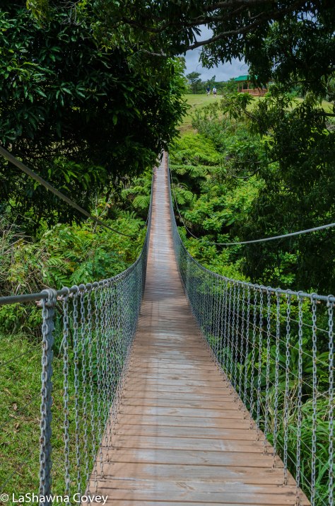 Hawaii zipline adventure-3
