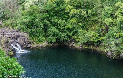 Hawaii zipline adventure-7