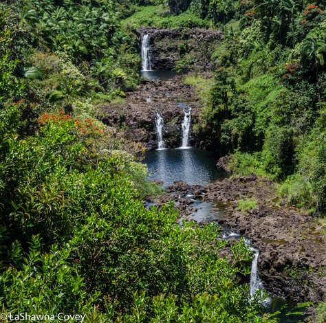 Hawaii zipline adventure-8